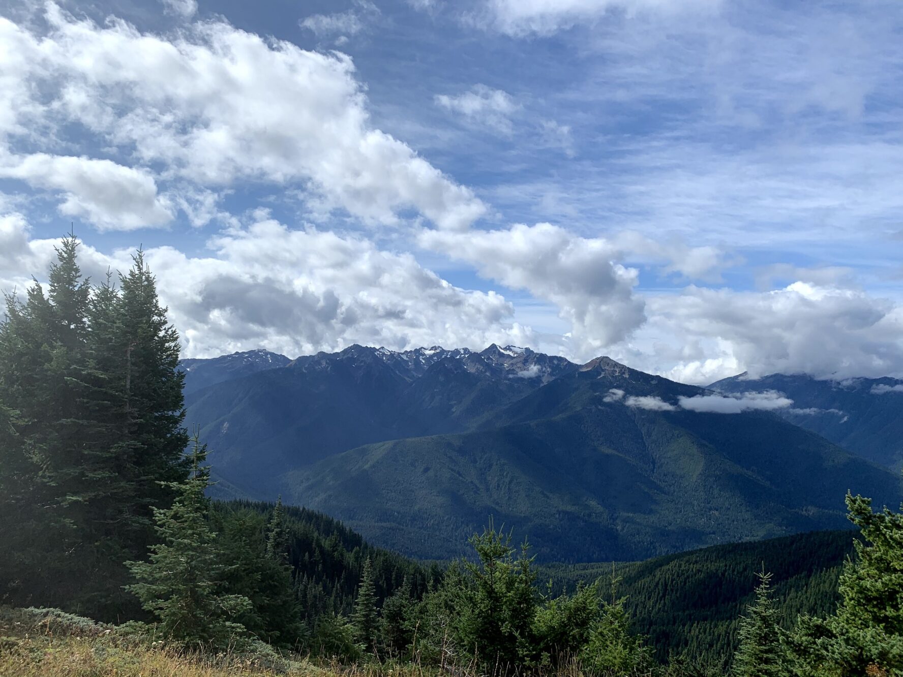 Olympic National Park is one of the largest wilderness areas in the contiguous U.S.