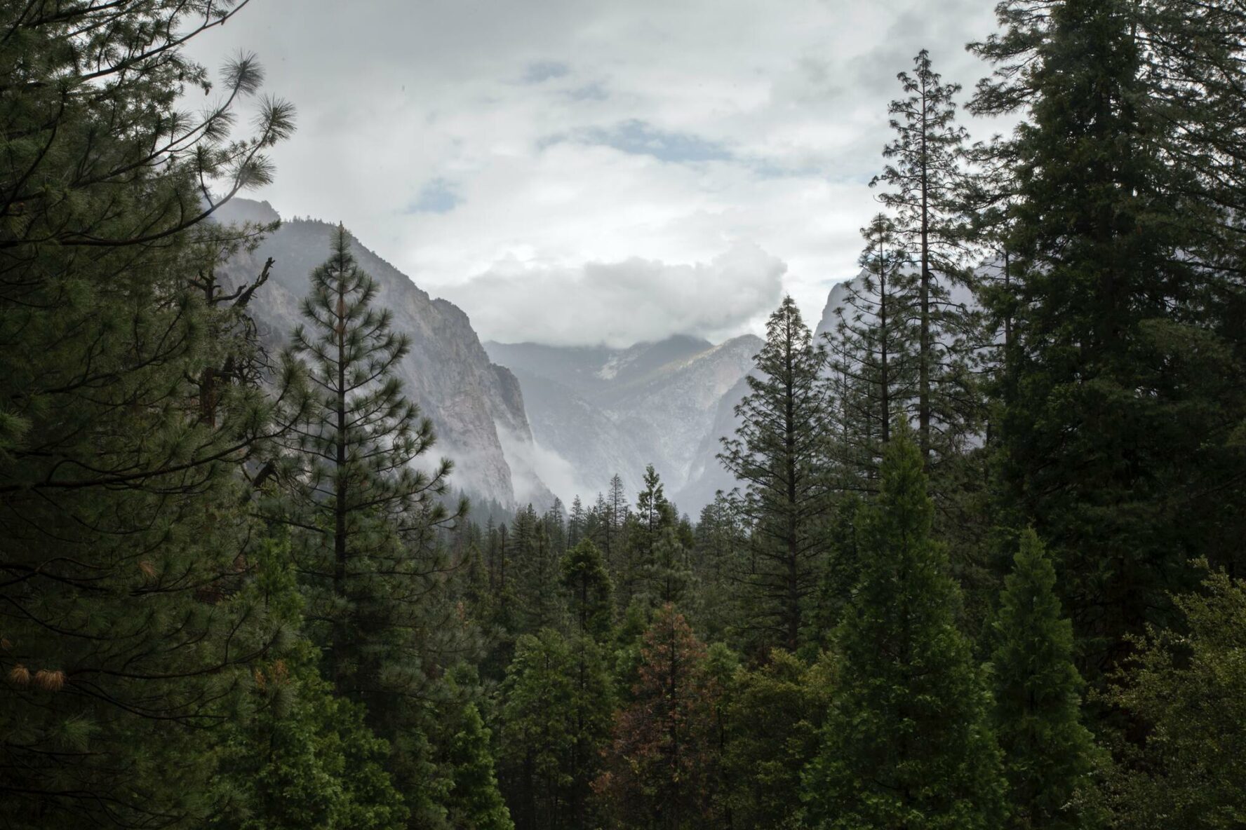 The Paradise Valley Trail begins on a sandy path that transitions to a lush forest floor.
