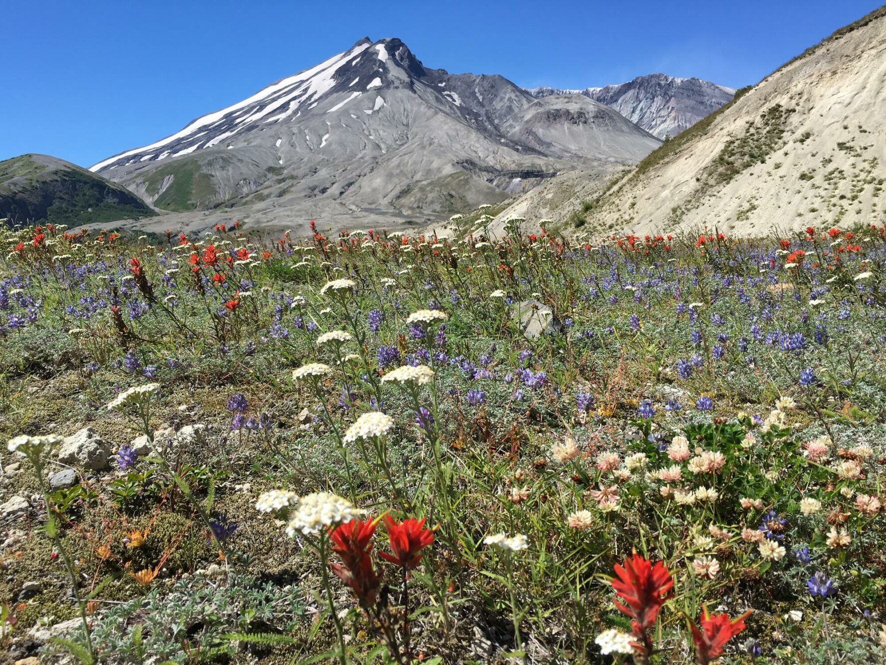 When Mount St. Helens erupted in 1980, the earthquake measured 5.1 on the Richter scale.