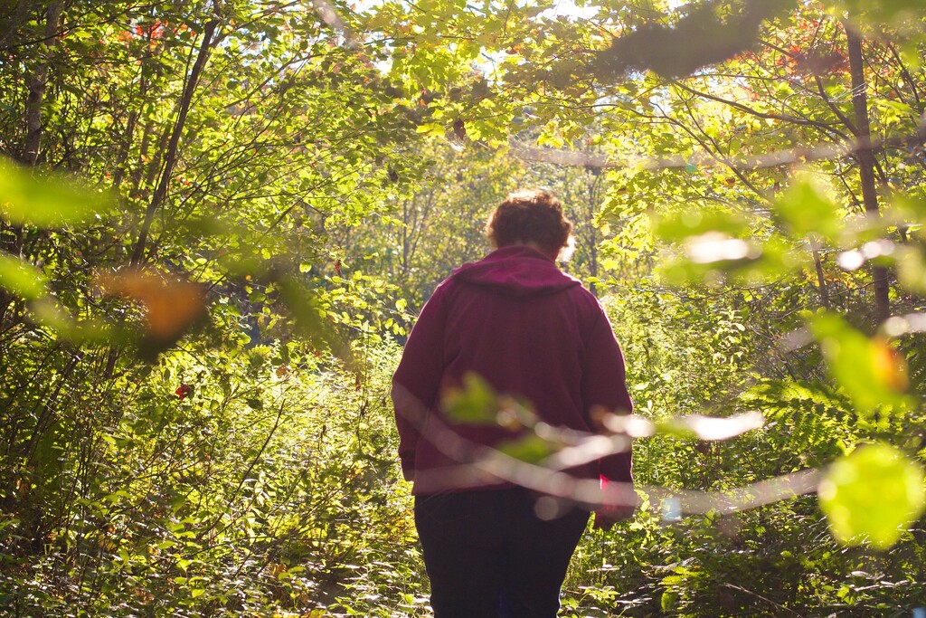A hiker traversing a forest trail in Acadia
