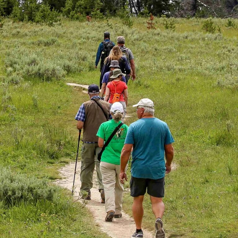 Hikers and a guide in Yellowstone National Park