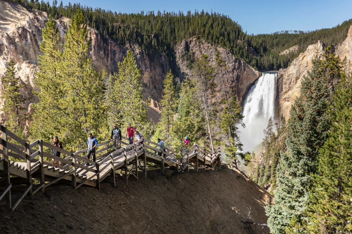 Hikers walking on steps on a trail in Yellowstone