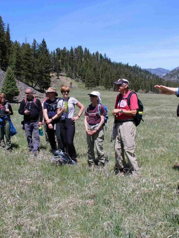 Hiking and Wildlife Watching in Yellowstone