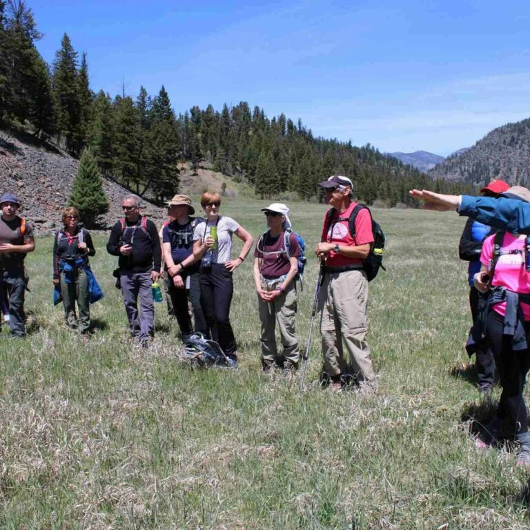 Hikers in Yellowstone National Park