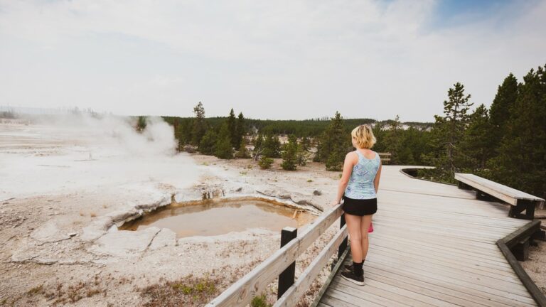Hiking and Wildlife Watching in Norris Geyser Basin