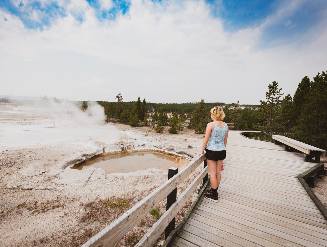 Hiking and Wildlife Watching in Norris Geyser Basin