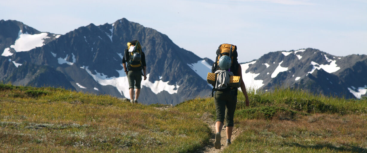 Hiking on an alpine trail in the Olympic National Park