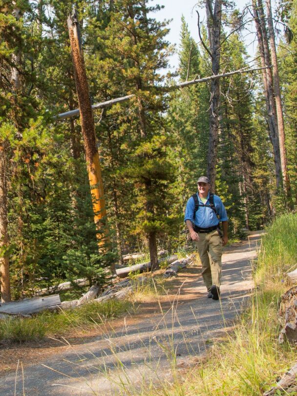 Hiking and Wildlife Watching in the Grand Canyon of the Yellowstone