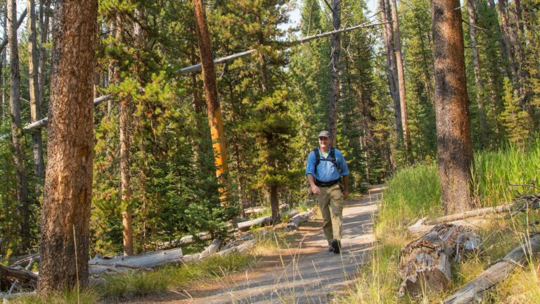 Hiking and Wildlife Watching in the Grand Canyon of the Yellowstone