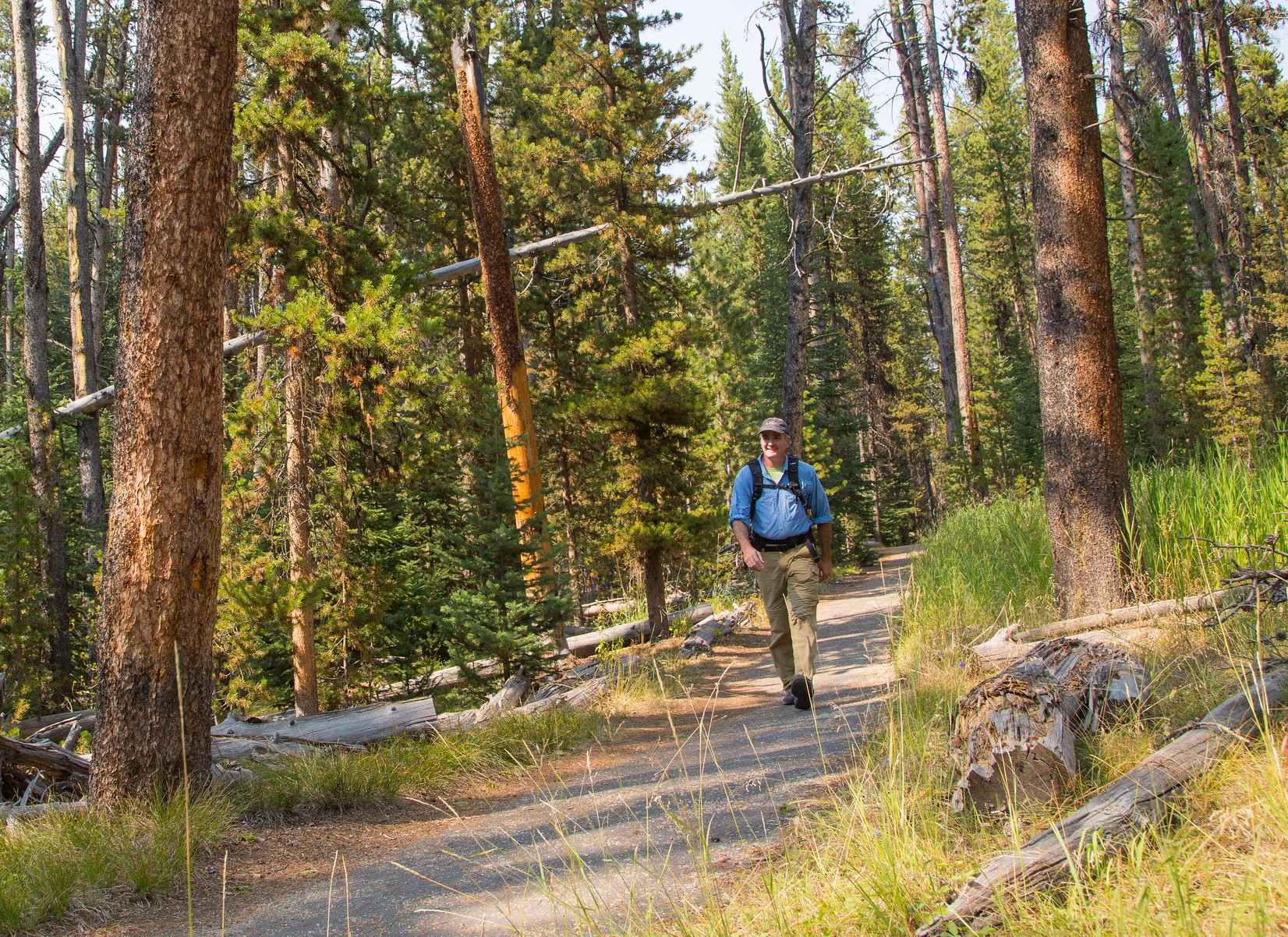 Hiking and Wildlife Watching in the Grand Canyon of the Yellowstone