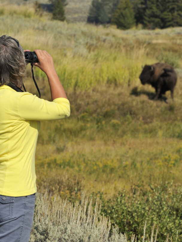 Hiking in the Mammoth Area in Yellowstone