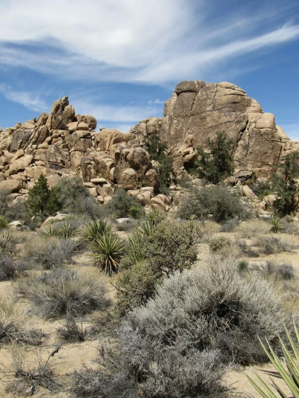 Trad rock climbing camp in Joshua Tree National Park, California