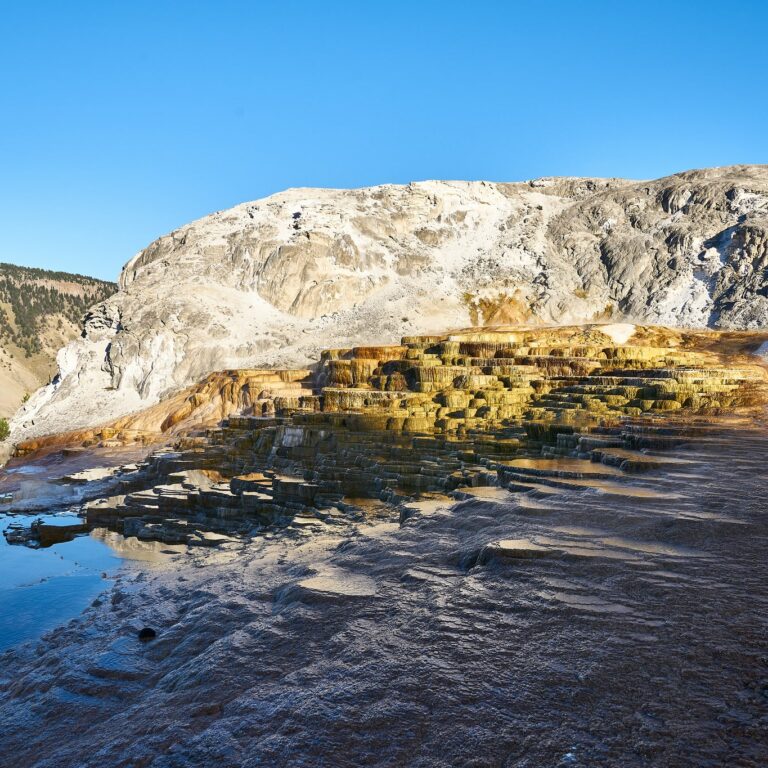 Mammoth Hot Springs in Yellowstone National Park