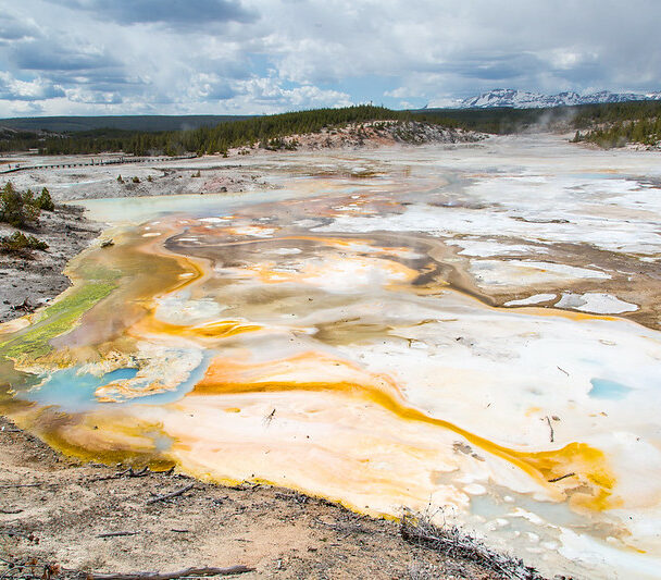 Hiking and Wildlife Watching in Norris Geyser Basin