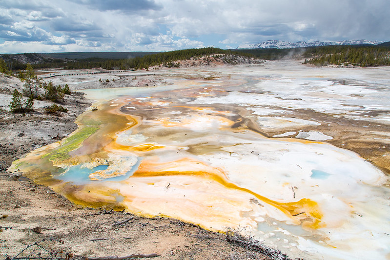Colorful lakes at the Norris Geiser Basin in Yellowstone