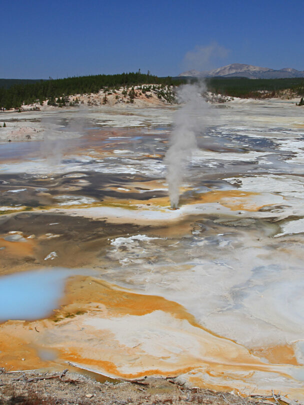 Hiking and Wildlife Watching in Yellowstone