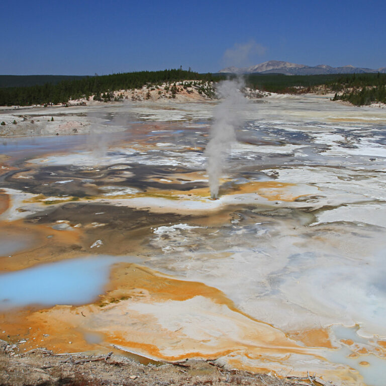 Porcelain Springs in Norris Geyser Basin, Yellowstone