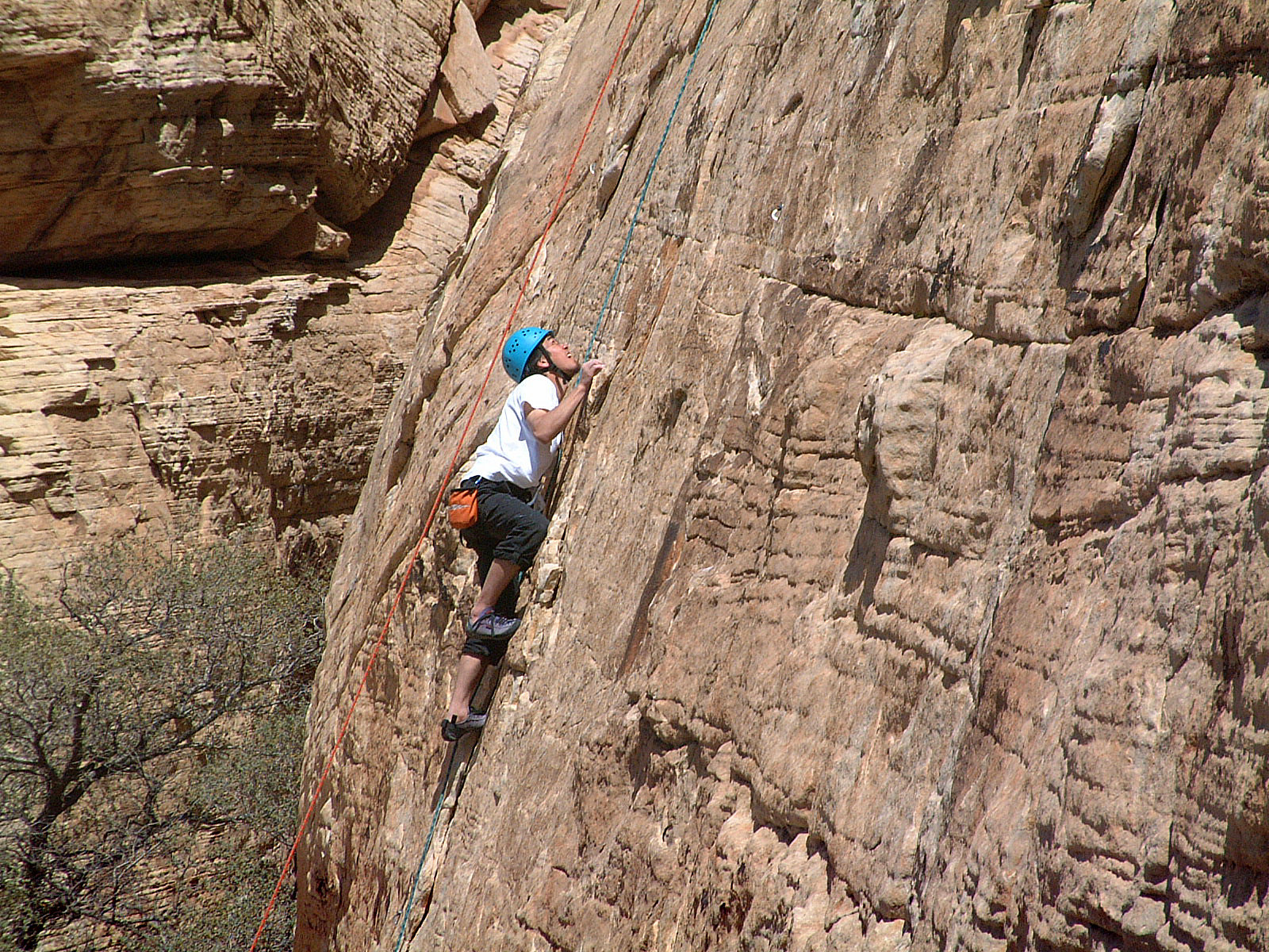 A rock climber climbing in Red Rock Canyon
