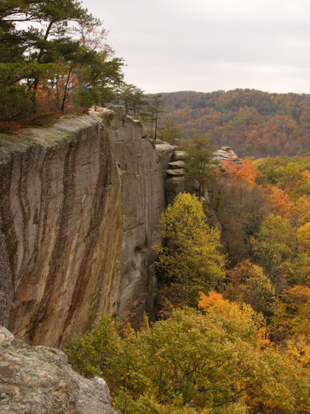 Rock climbing clinics in Red River Gorge