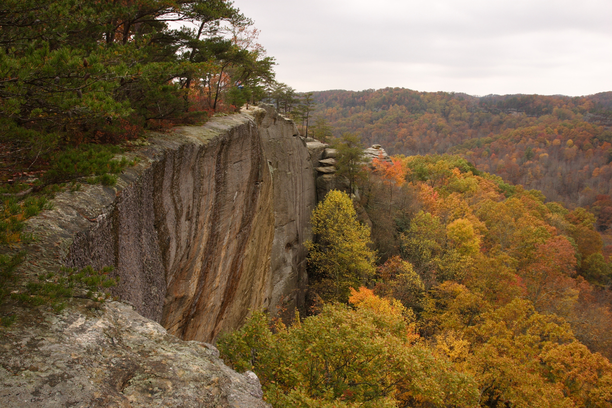 Sandstone cliffs in Red River Gorge