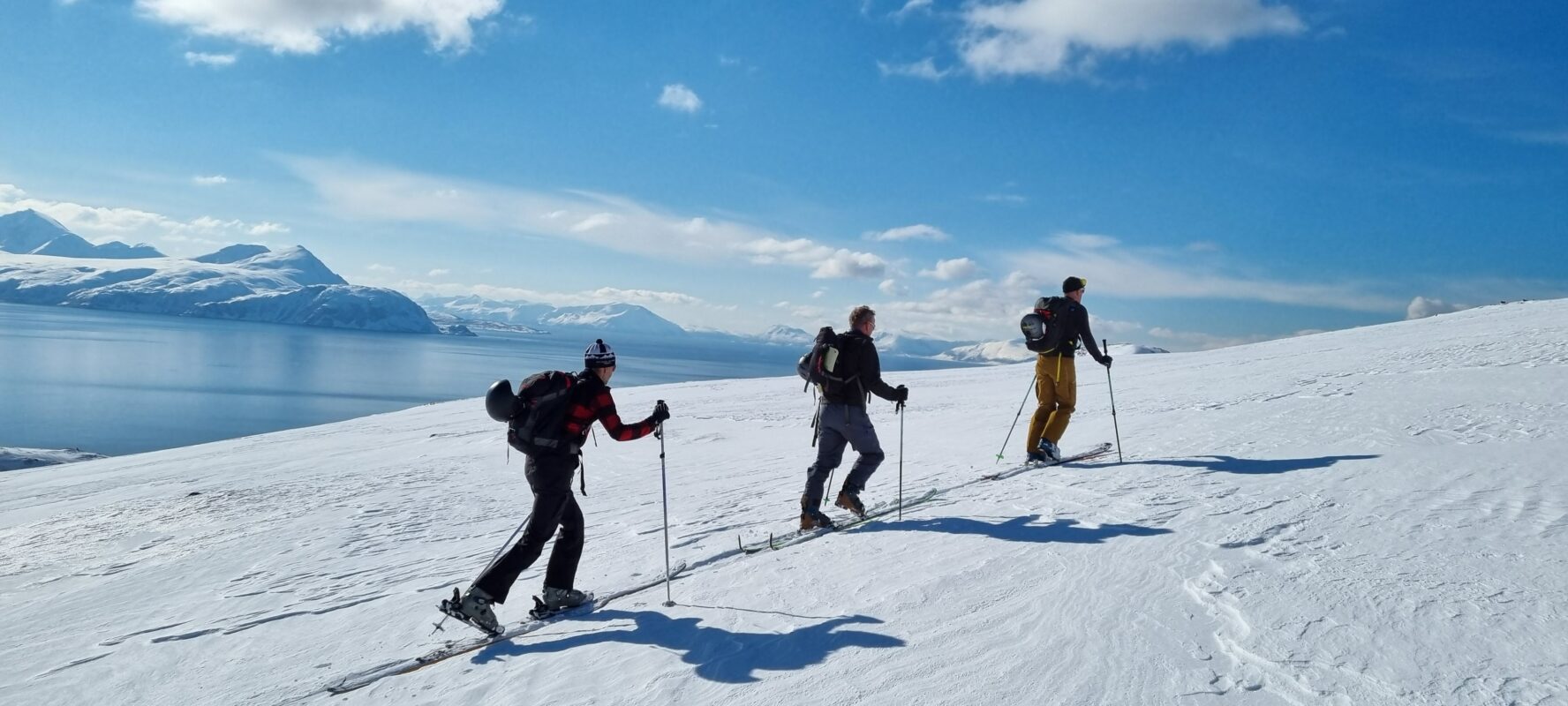 Three skiers skinning to their goal for the day in Norway