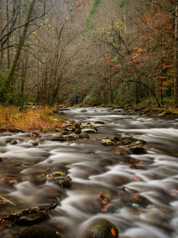 Hiking and Camping in Smoky Mountains NP