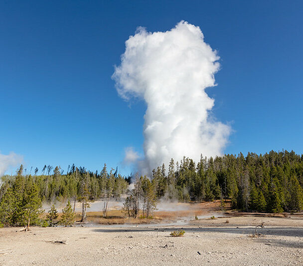 Hiking and Wildlife Watching in Norris Geyser Basin