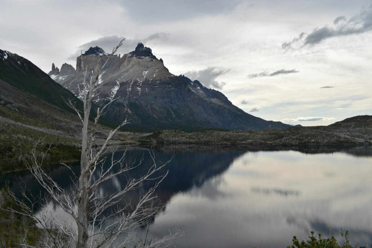 Scenery, Torres del Paine O trek in Patagonia