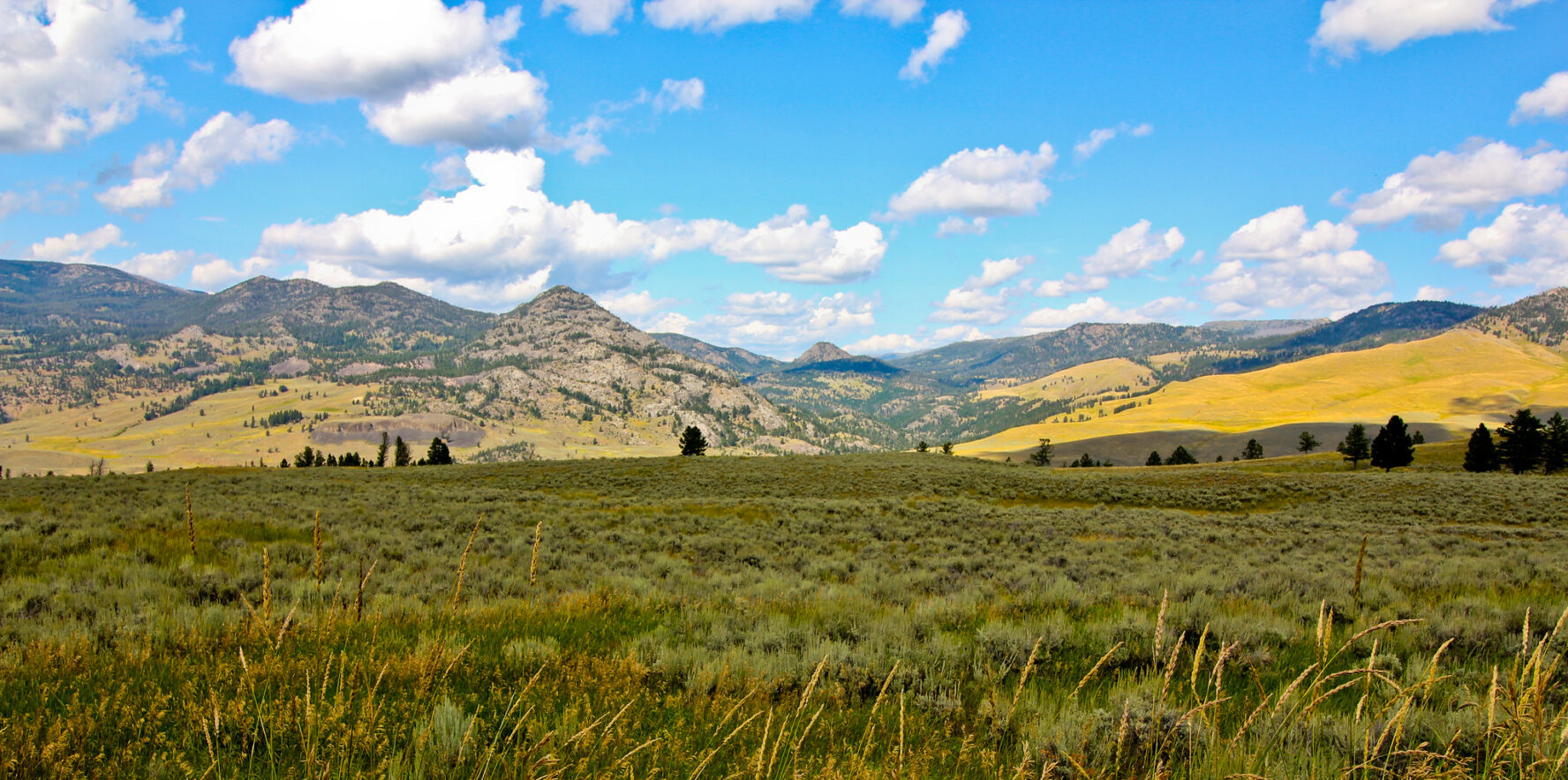 A panorama of the Tower-Roosevelt area in Yellowstone