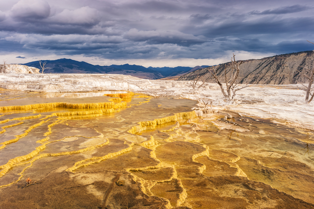 Travertine pools at Mammoth Hot Springs in Yellowstone