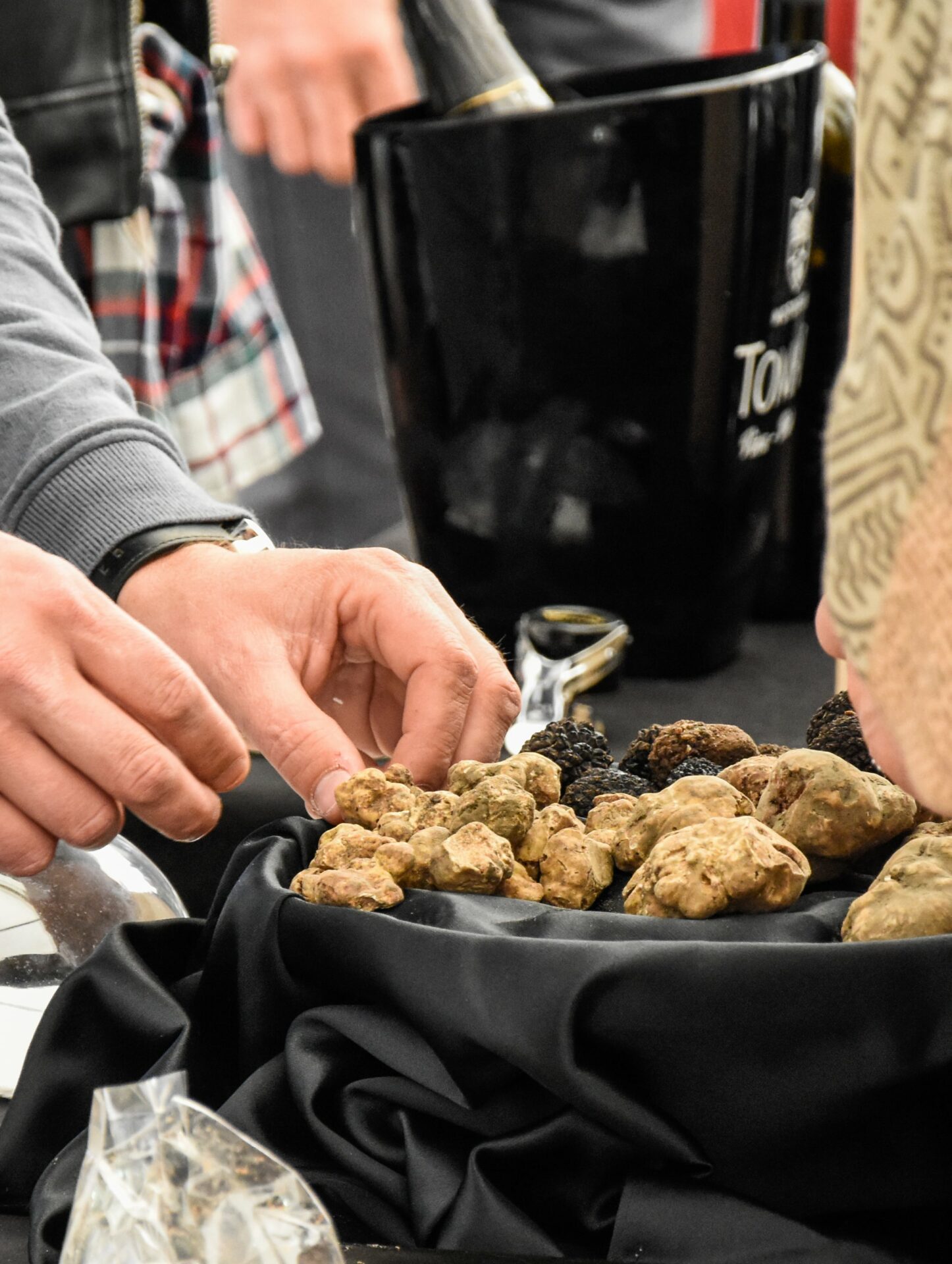 Taste original truffles specific to Istria. A person setting fresh truffles on a plate with a bottle of champagne in the background