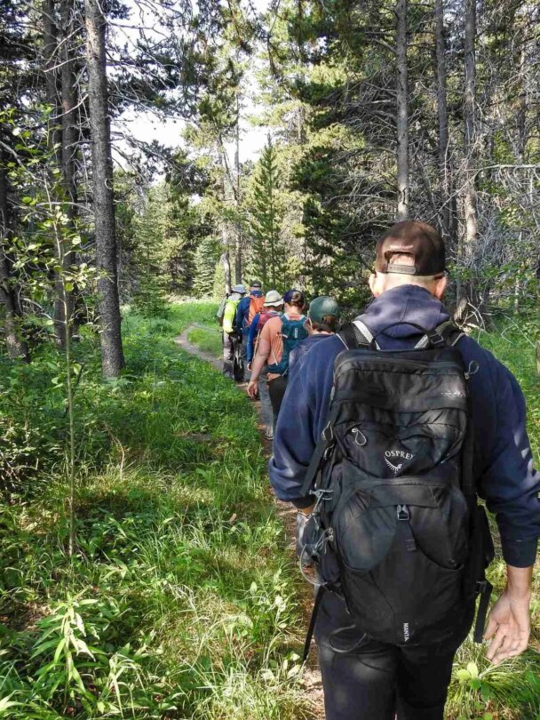 Hiking and Wildlife Watching in the Grand Canyon of the Yellowstone