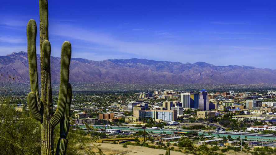 The Tucson City skyline foregrounded by a saguaro cactus and towered by a wide mountain range.