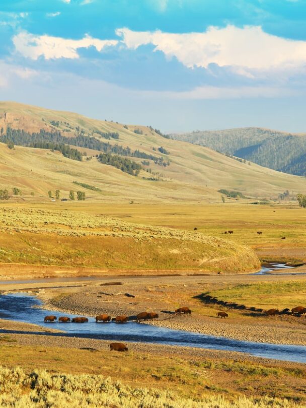 Hiking and wildlife watching in Yellowstone’s Lamar Valley