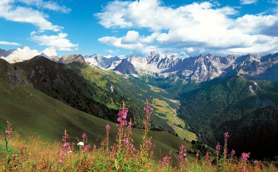 Footer with the scenery seen from the Alta Via treks