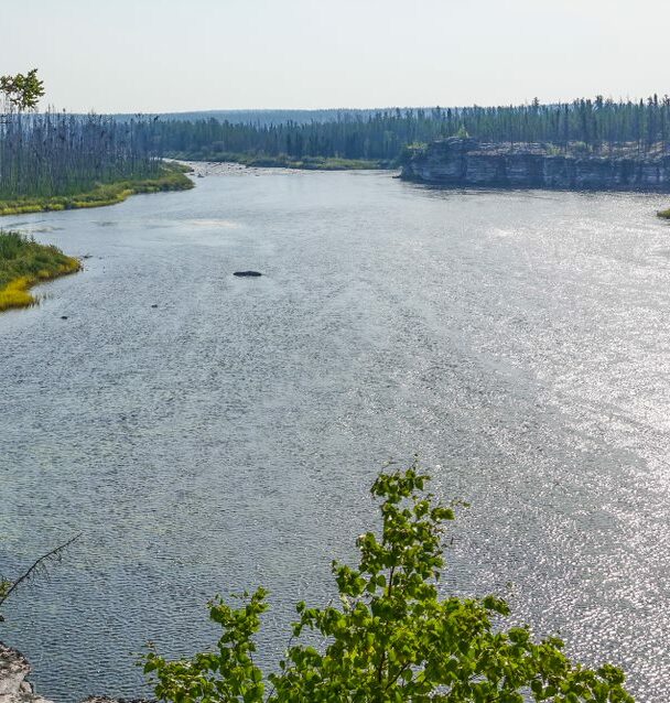 Wild canoe adventure on the Hawkrock River