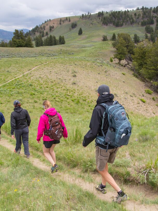 Hiking and wildlife watching in Yellowstone’s Lamar Valley