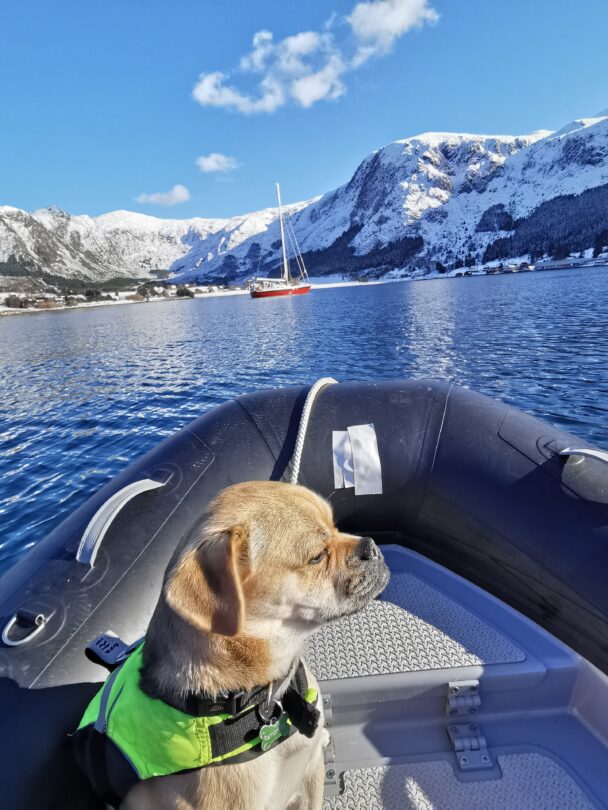 Skiing and Sailing in Hjørundfjord