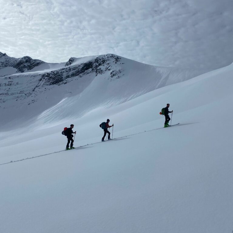 Skiers in a line on a slope in Hjørundfjord, Norway