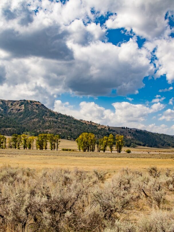 Hiking and wildlife watching in Yellowstone’s Lamar Valley