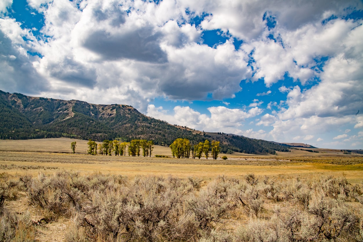 The Lamar Valley in Yellowstone National Park, Wyoming