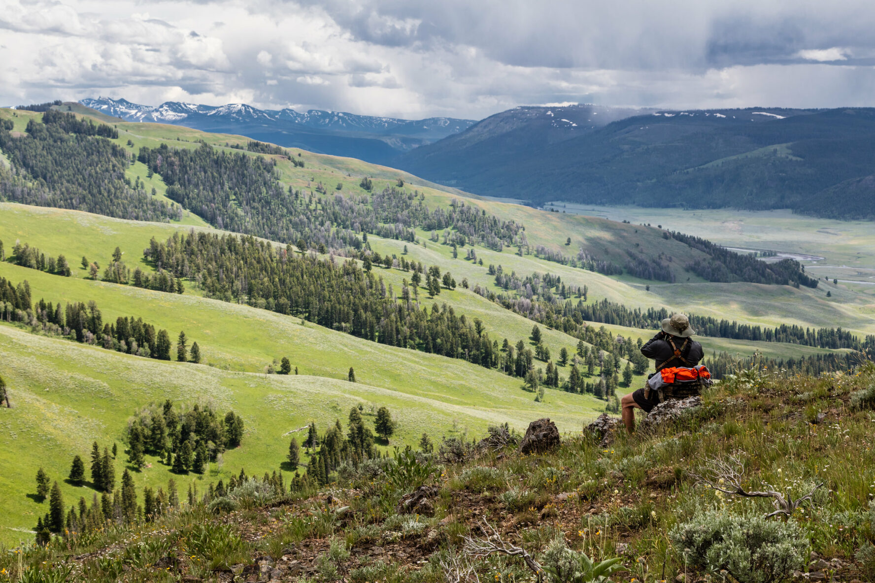 A man watching wildlife in the Lamar Valley, Yellowstone