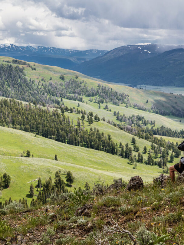Hiking and wildlife watching in Yellowstone’s Lamar Valley