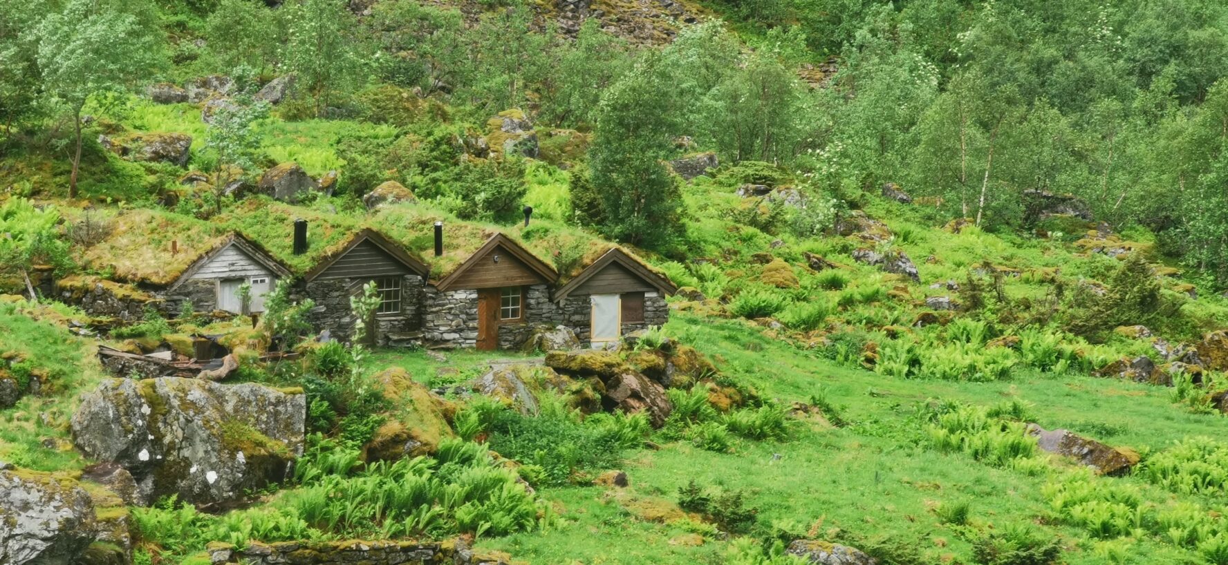 Houses overgrown with green vegetation in Norway