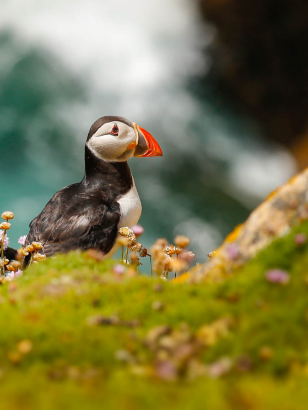 Guided Family Sailing Trip in Western Norway