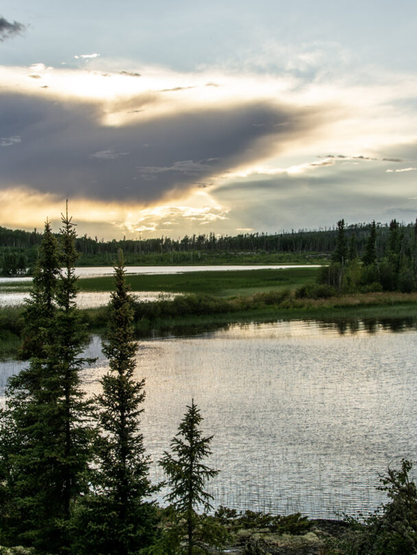 Wild canoeing on the Paull River, Canada