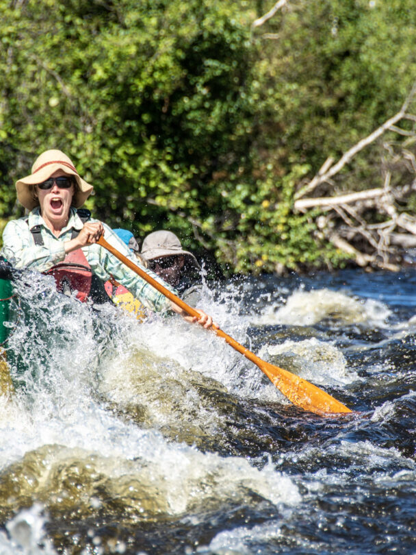 Wild canoeing on the Paull River, Canada