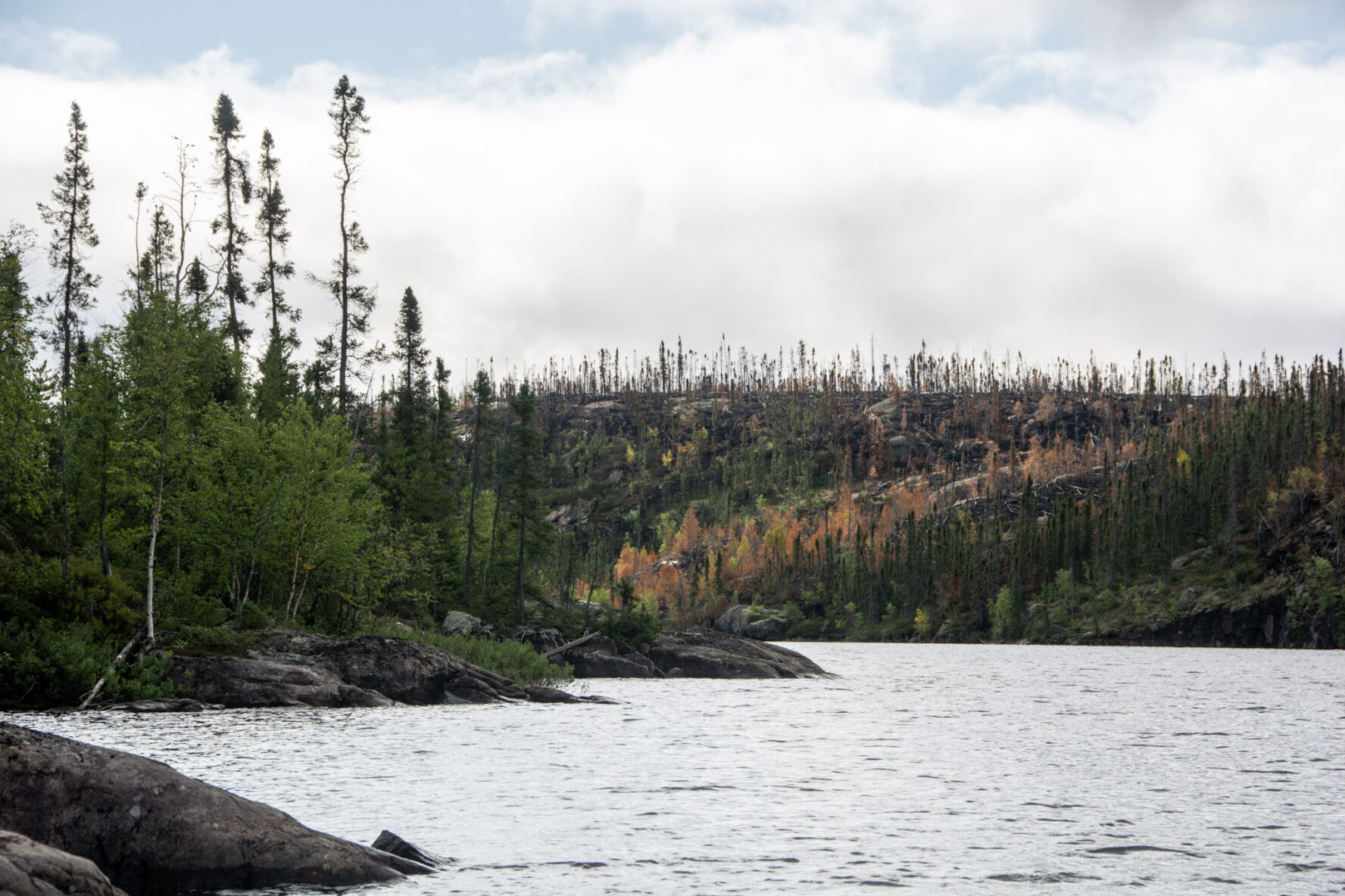The Seal River, Manitoba