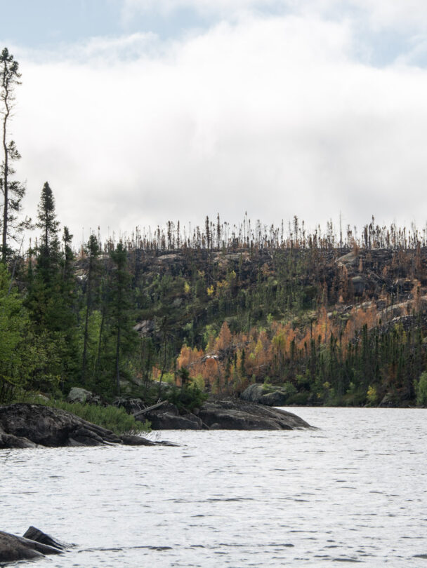 Wild canoe adventure on the Seal River, Canada