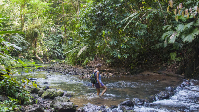 3-Day Hiking Tours in Corcovado National Park